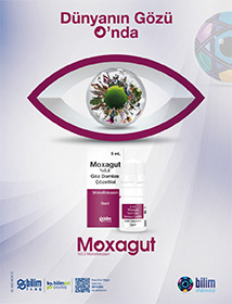 Moxagut